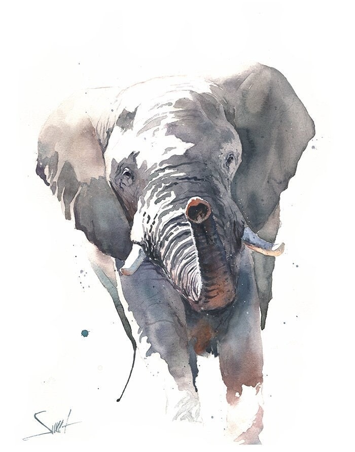 水彩画の象の壁アート - アフリカゾウの絵画、サファリ動物の