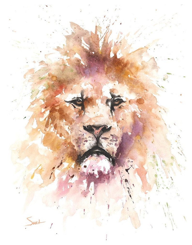 May include: A watercolor painting of a lion's face with a brown, orange, and pink mane. The lion's face is in focus, and the background is blurred. The painting is signed 'Sweet' in the bottom left corner.