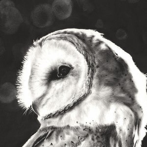 Puede incluir: Un dibujo en blanco y negro de un b&uacute;ho com&uacute;n con la cabeza girada hacia un lado. El b&uacute;ho est&aacute; mirando hacia el lado izquierdo de la imagen. Las plumas del b&uacute;ho est&aacute;n detalladas y el fondo es negro con c&iacute;rculos blancos.
