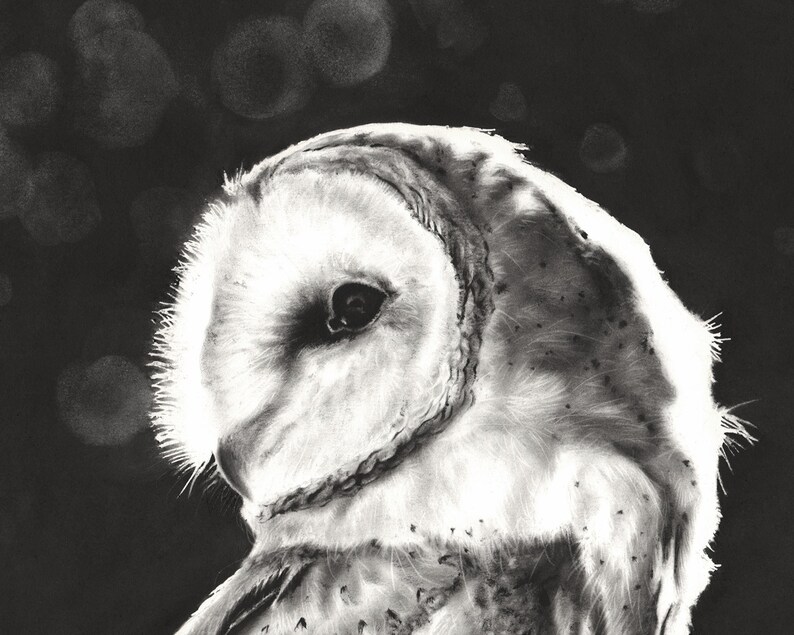 Barn Owl Art Black and White Oil Painting by Eric Sweet image 2