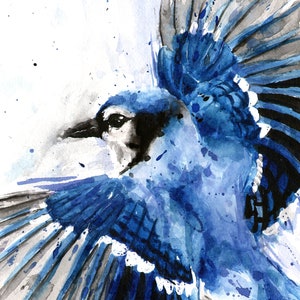 Blue Jay Flying Watercolor Painting Art Print by Eric Sweet image 2