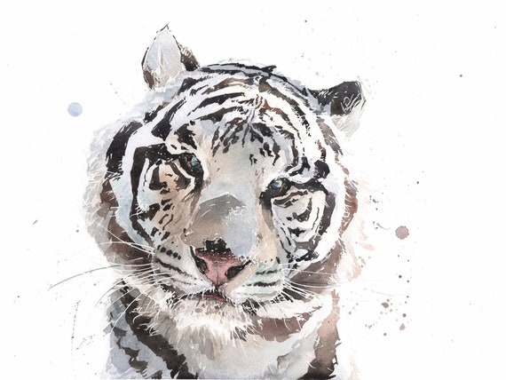 ホワイトタイガーの水彩画 - サイン入り限定版野生動物アート - Etsy 日本