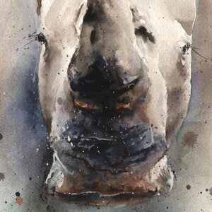 May include: Close-up watercolor painting of a rhinoceros's face. The rhino's skin is a light gray with dark gray and brown accents. The background is a light blue with dark gray and brown splatter paint.