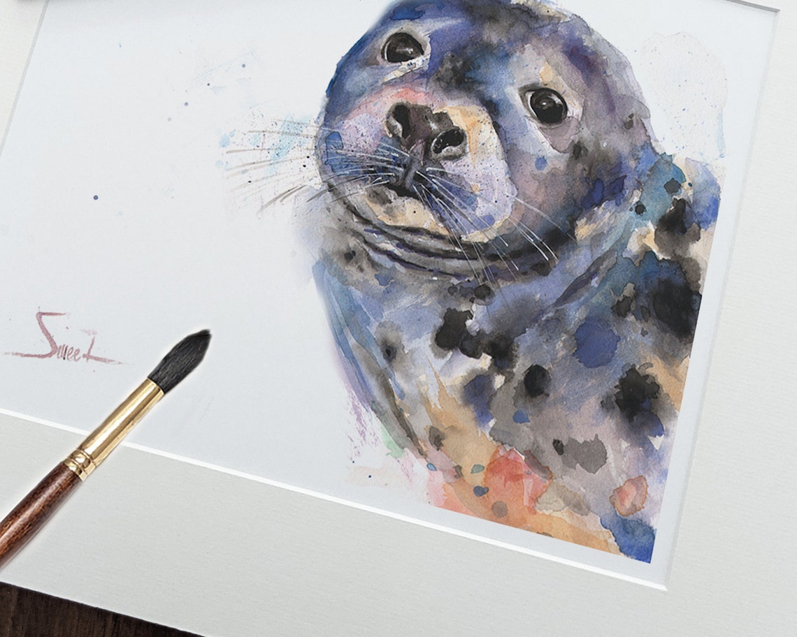 Seal watercolor print seal painting sea life art seal Etsy