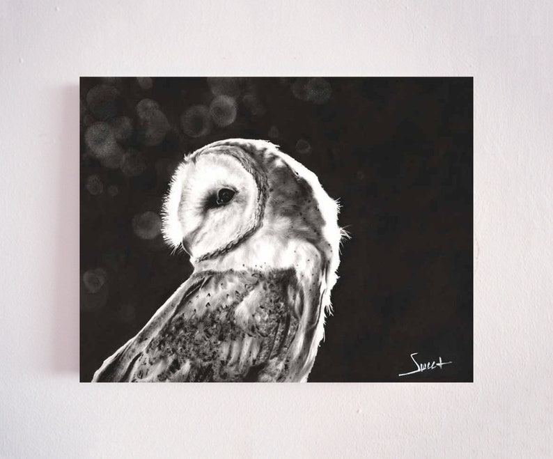 Puede incluir: Un dibujo en blanco y negro de un b&uacute;ho com&uacute;n, realizado en un estilo realista y detallado. El b&uacute;ho est&aacute; mirando hacia la izquierda y tiene la cabeza inclinada hacia abajo. El fondo es negro con manchas blancas.