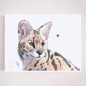 Op de afbeelding: Waterverf schilderij van een serval, een wilde kat met grote oren en een gevlekte vacht, die naar rechts kijkt. De achtergrond is wit met een paar bruine waterverf spatten.