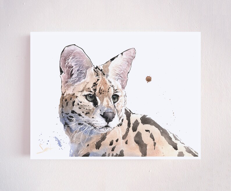Op de afbeelding: Waterverf schilderij van een serval, een wilde kat met grote oren en een gevlekte vacht, die naar rechts kijkt. De achtergrond is wit met een paar bruine waterverf spatten.