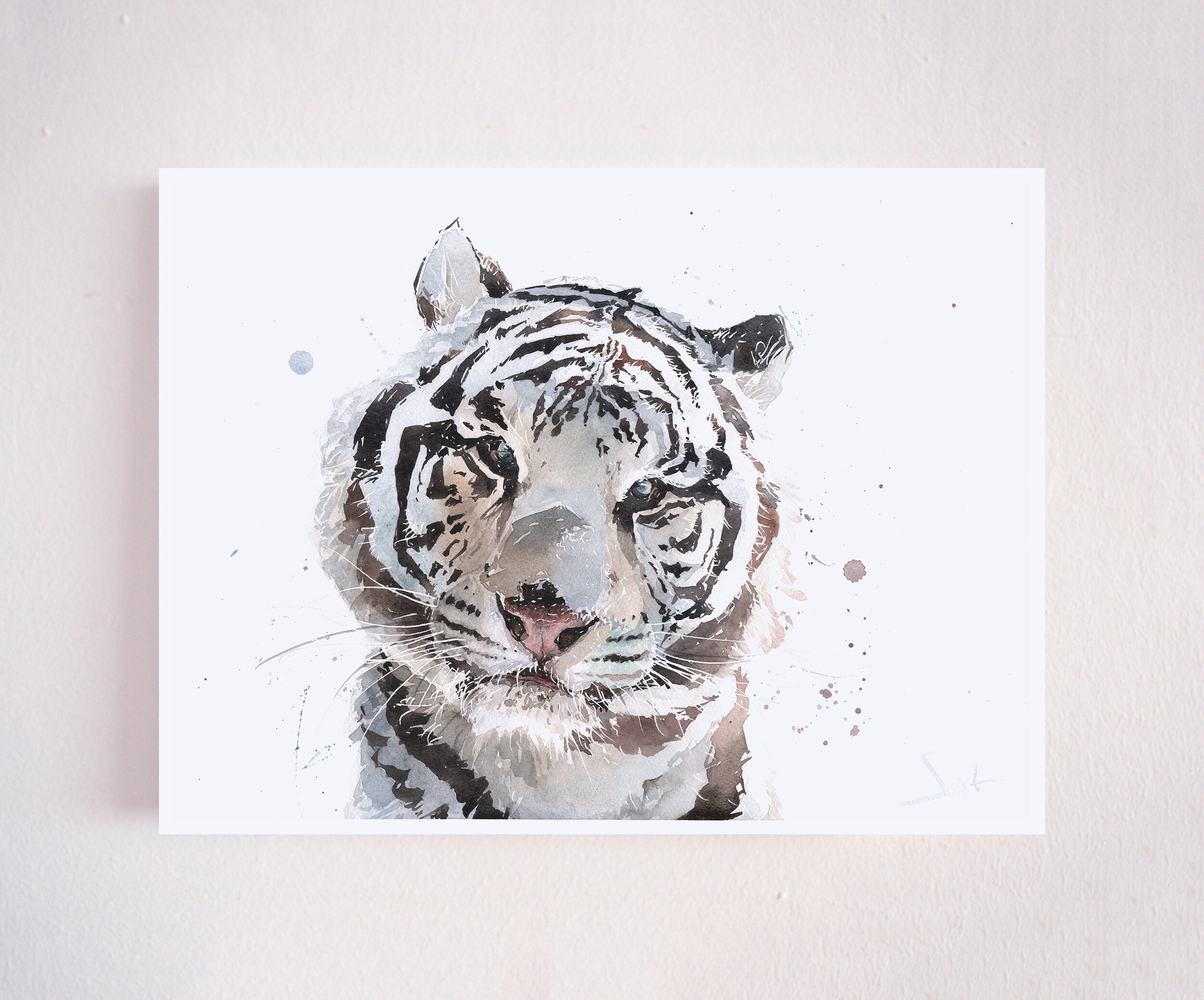 White Tiger Watercolor Painting Art Print by Eric Sweet - Etsy