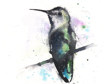 Anna's Hummingbird Watercolor Painting Art Print by Eric Sweet