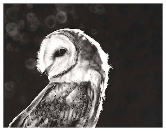 Barn Owl Art Print - Black and White Bird Painting