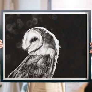 Barn Owl Art Black and White Oil Painting by Eric Sweet image 4