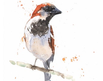 House Sparrow Watercolor Bird Art Print by Eric Sweet