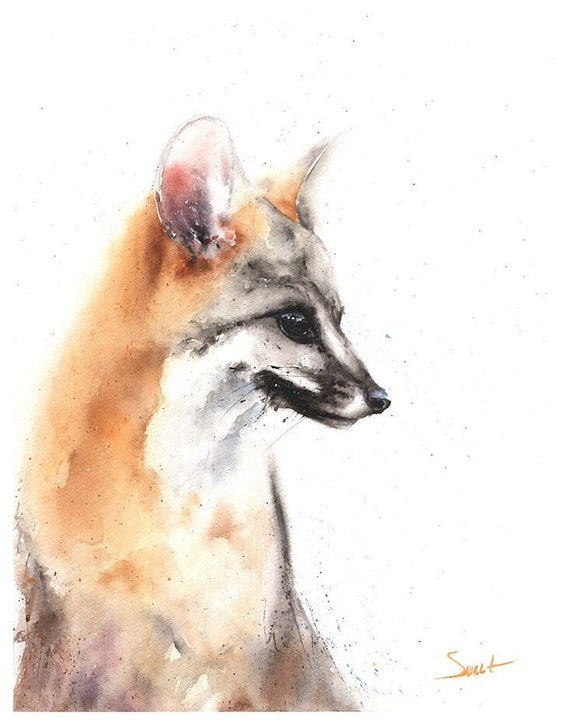 Watercolor Grey Fox Print, Woodland Animal Art, Nursery Wall Art