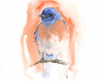 Original Watercolor Western Bluebird Painting - Songbird Wall Art
