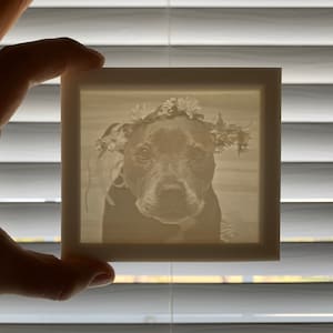 Custom 3D Lithophane Print