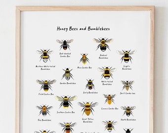 A3 Bee Print Dictionary Wall Art Picture Anniversary Gift Idea Love Quote Framed A3 Bee Print Dictionary Wall Art Picture Anniversary Gift Idea Love Quote Framed