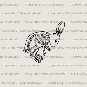 Hasen Skelett Tattoo Schablone – Niedliches gruseliges Kaninchen Knochen Design, kleines Gothic Halloween Tattoo Flash, winziges Fineline Tattoo als digitaler Download