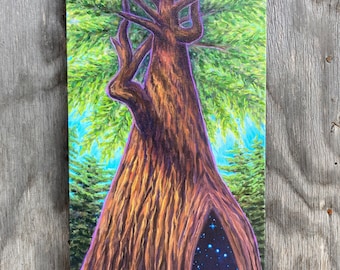 Redwood Magic 8x16 canvas print