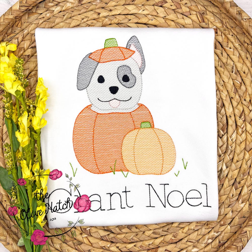 Halloween Shirt, Boy Shirt, Dog Halloween Shirt, Trick Or Treat Shirt, Halloween Boy Shirt, Personalized Boy Shirt, Embroidery Shirt Onlytee
