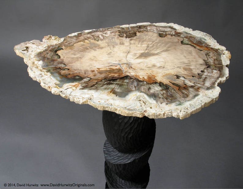 May include: A petrified wood table top with a unique, swirling pattern of brown, white, and gray. The table top is mounted on a black, carved wooden base.
