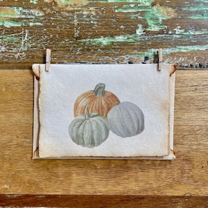 ArtRoots LLC | Illustration botanique | Cartes postales ou impressions | Trois citrouilles | Oeuvre d'art d'Erin Wietake | Droits d'auteur 2024