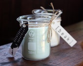 Eucalyptus & Spearmint Soy Candle - Small