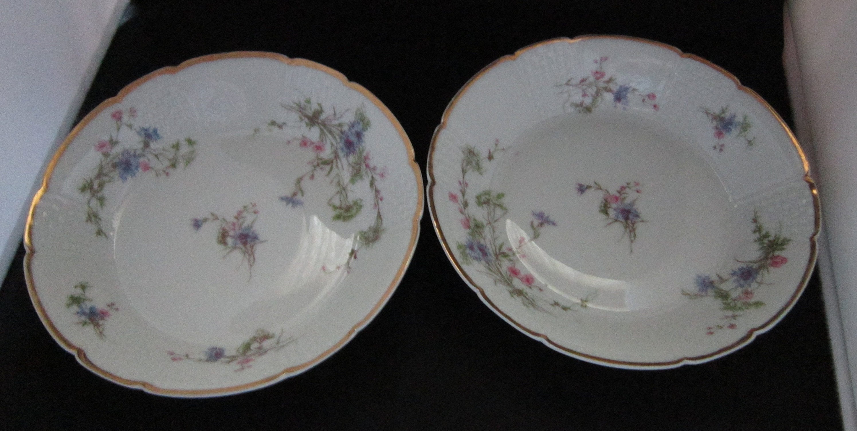 Vintage gdamade in France, Limoges, Hand Painted Bone China Plates and