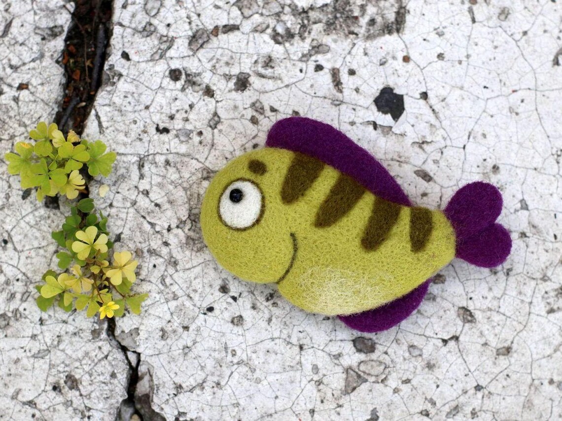 DIY Needle Felting FISH KIT. Complete kit to make felted Fish Etsy