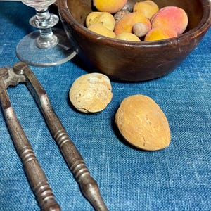 Stone fruit - Etsy 日本