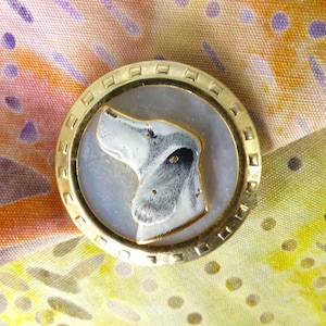 May include: A gold-toned button with a white and gray dog head design. The button has a raised rim and a smooth, shiny surface.