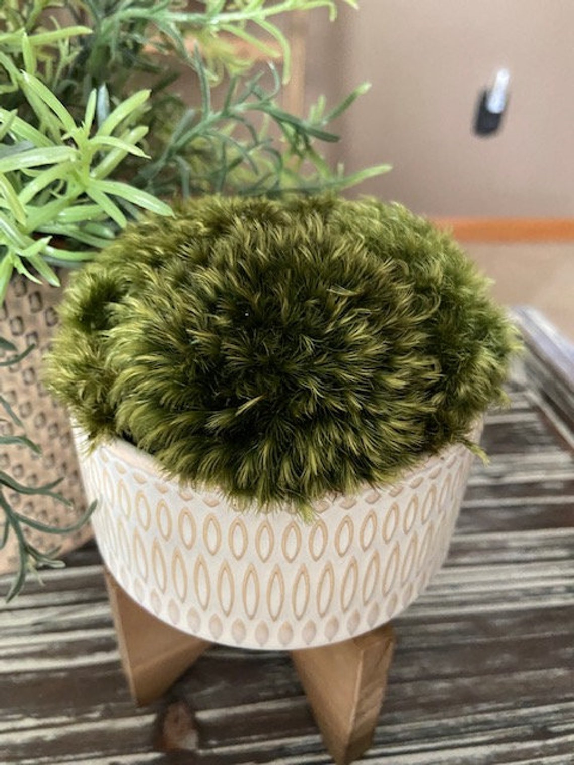 Moss Centerpiece Moss Decor Preserved Moss Arrangement Etsy