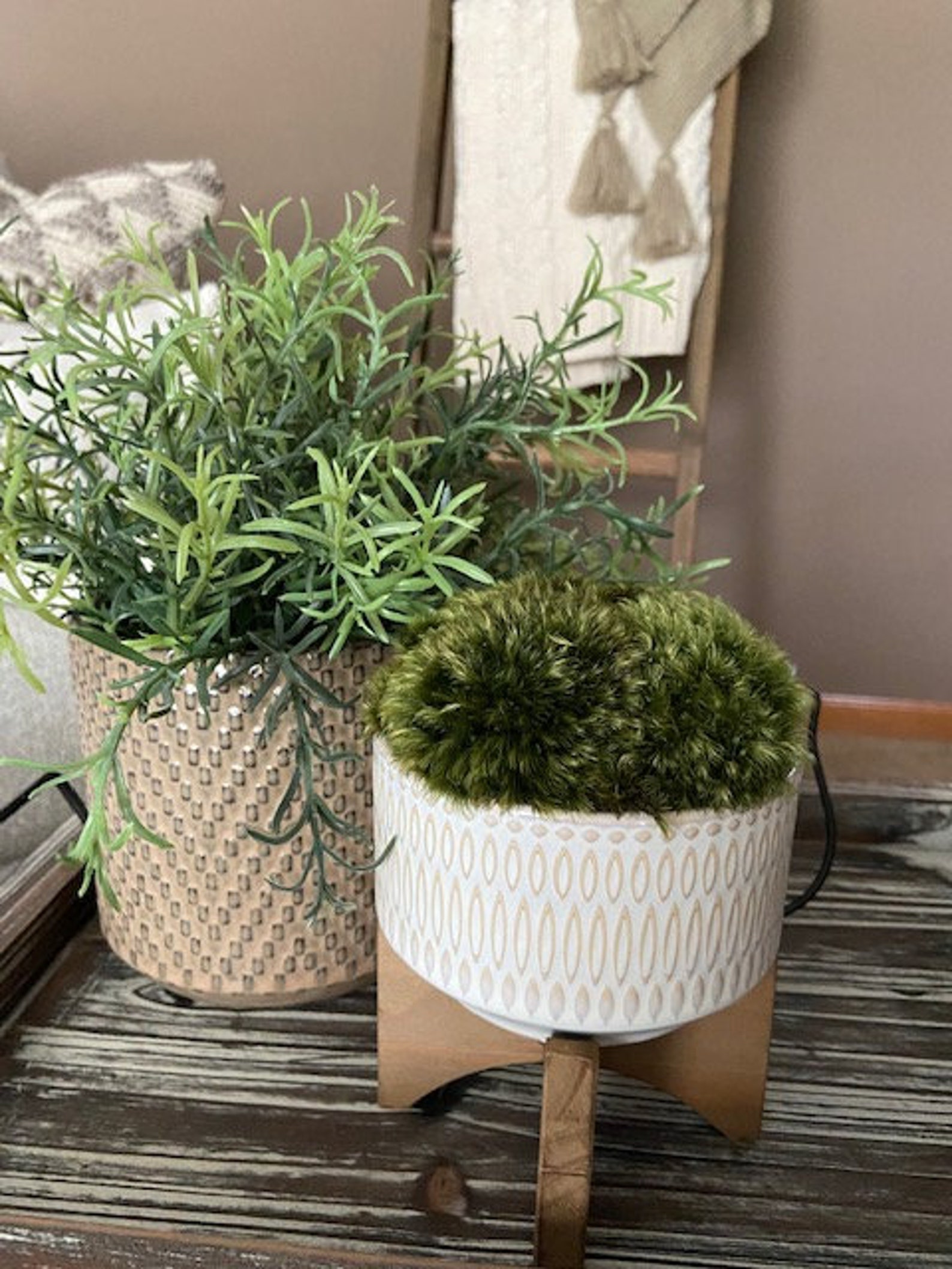 Moss Centerpiece Moss Decor Preserved Moss Arrangement Etsy