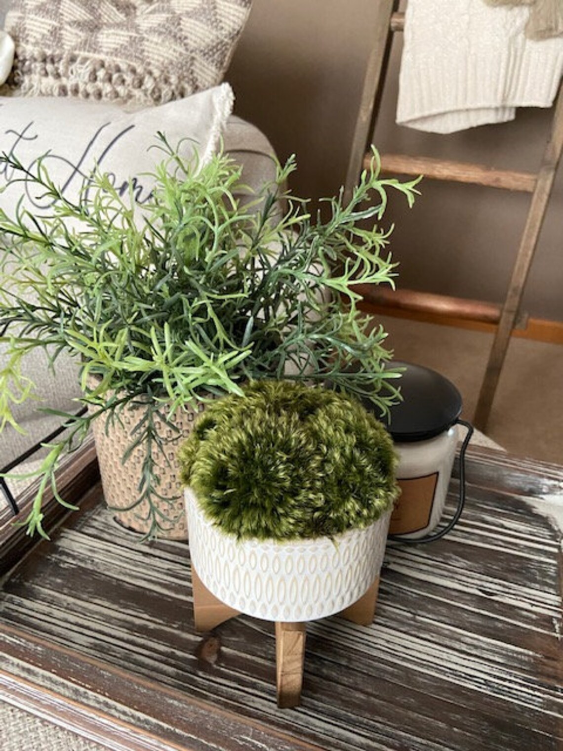 Moss Centerpiece Moss Decor Preserved Moss Arrangement Etsy