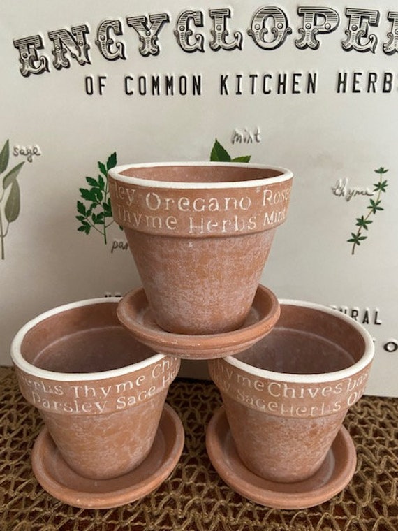 Herb Terracotta Pots Herb Planters Etsy