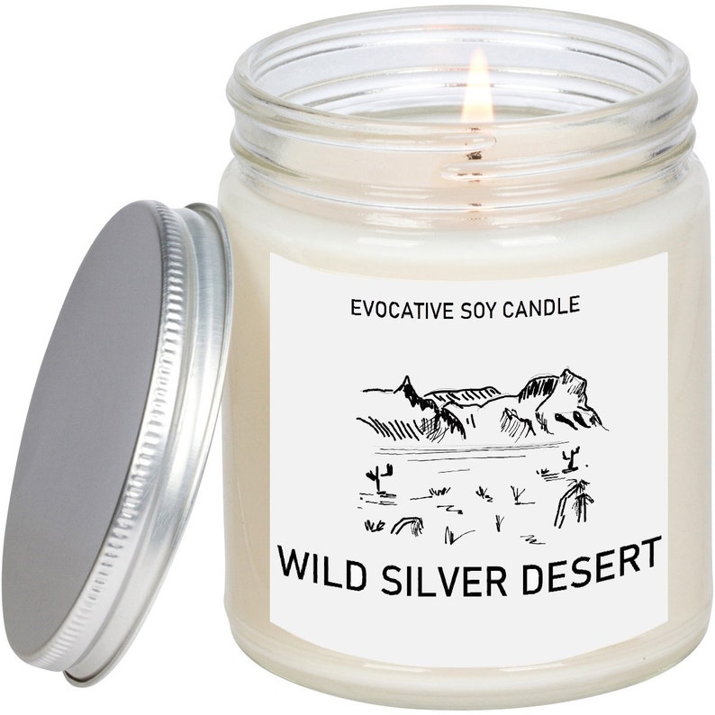 The Silver State Scented Candle - Missing Home - State Scented Candle - Moving Gift - College Student Gift image 3