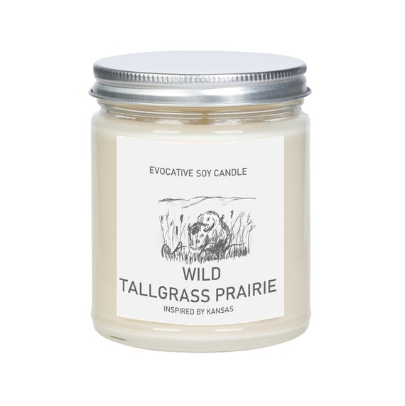 gifts for homesick college students