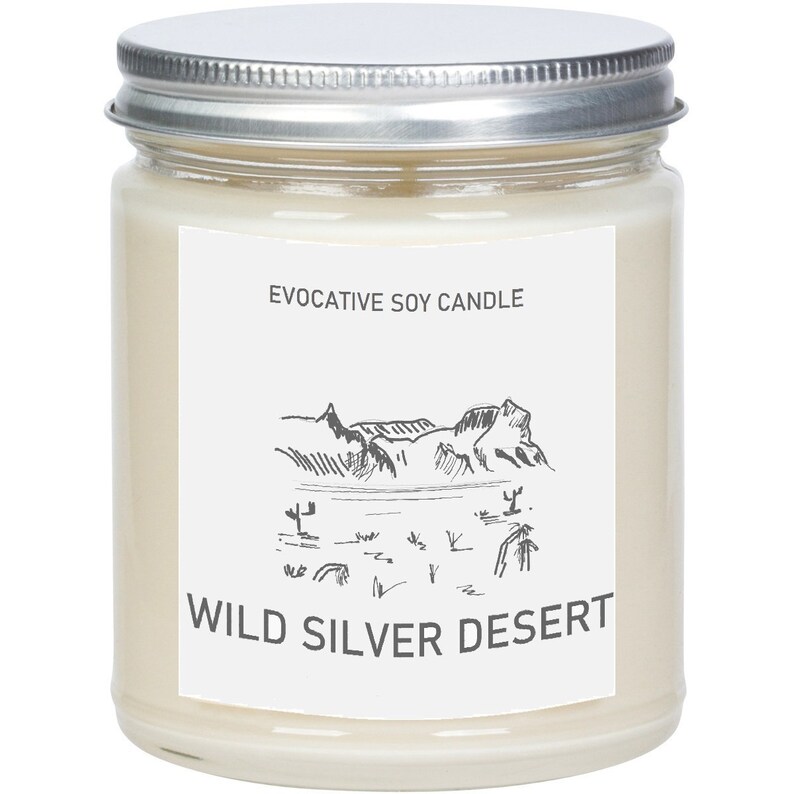 The Silver State Scented Candle - Missing Home - State Scented Candle - Moving Gift - College Student Gift image 2
