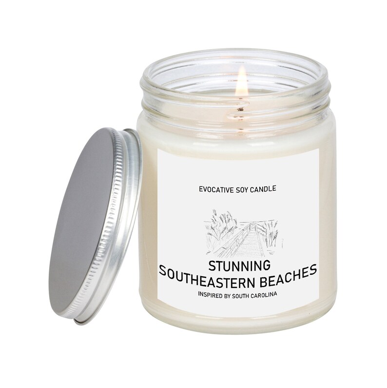 South Carolina Scented Candle Missing Home Homesick Gift Etsy