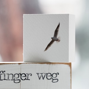 Arte de texto na parede "finger weg" + Mini "Gaivota"
