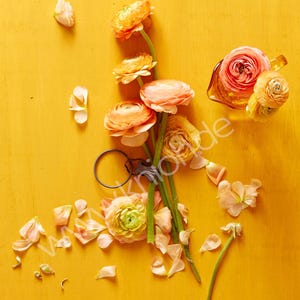 Postkarte "gelb mit liebe" Grusskarte Karte Glückwunschkarte Geburtstagskarte