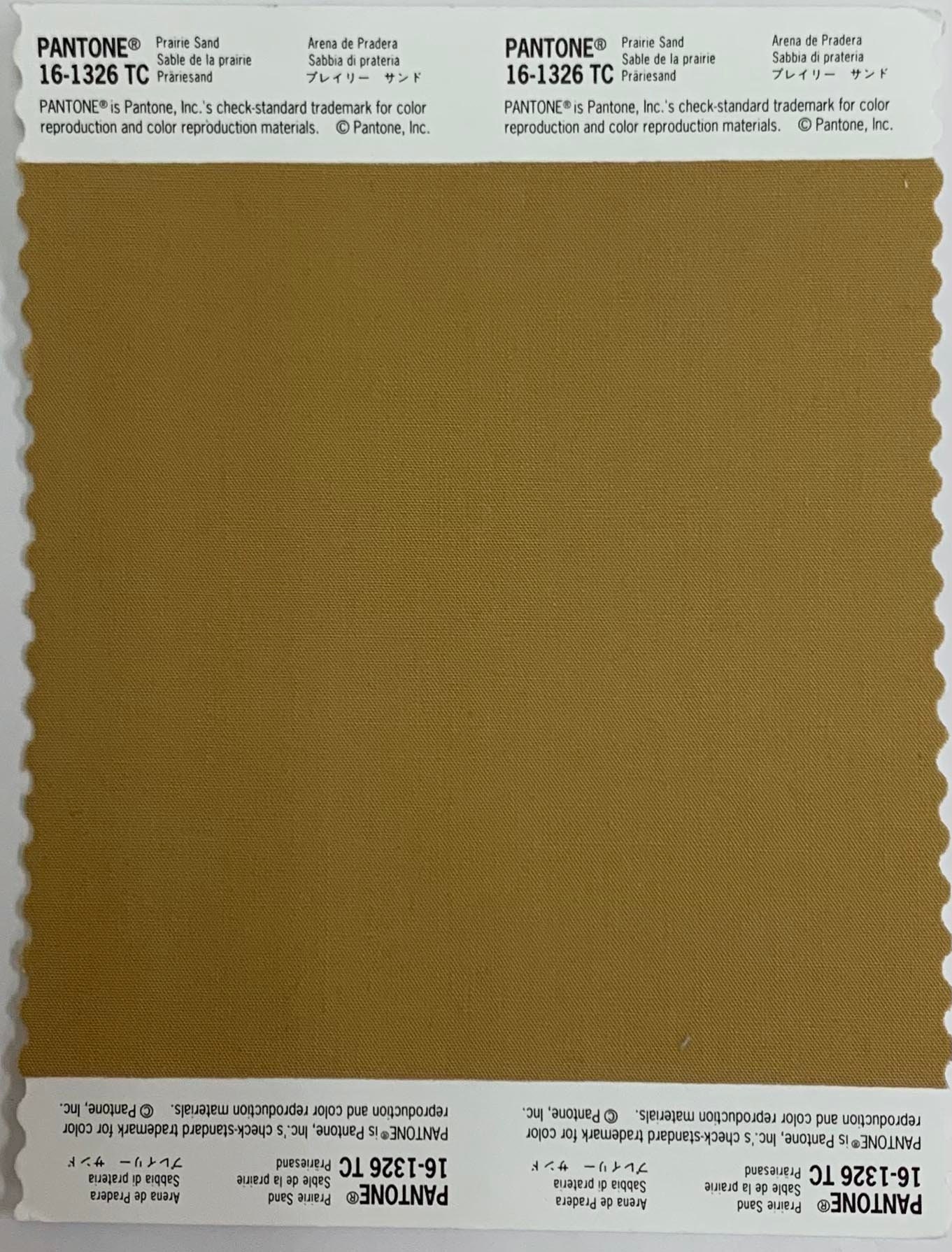 Original Pantone Swatch 161326 TC Prairie Sand Etsy
