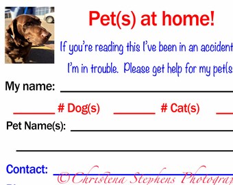 Pet Emergency Cards -  Pet at Home Id Card - Pet Safety Cards - Set of 2 Cards with Envelopes