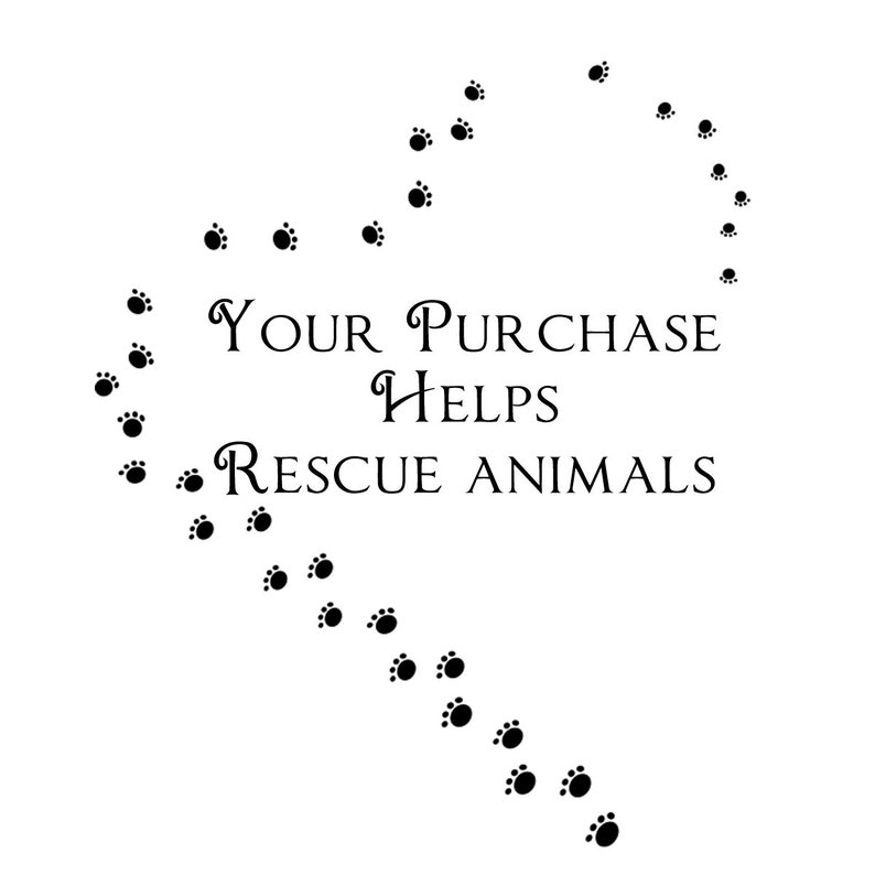 Pet Emergency Cards Pet at Home Id Card Pet Safety Cards Set of 2 Cards