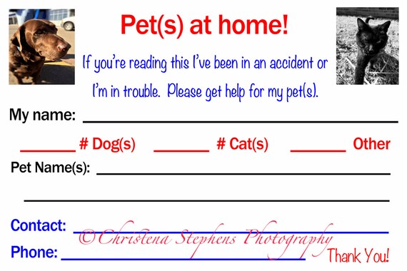 pets at home card