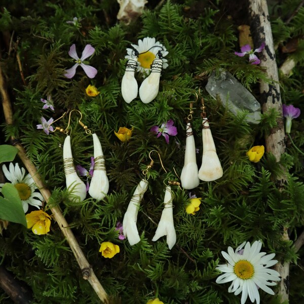 Elk Teeth - Etsy