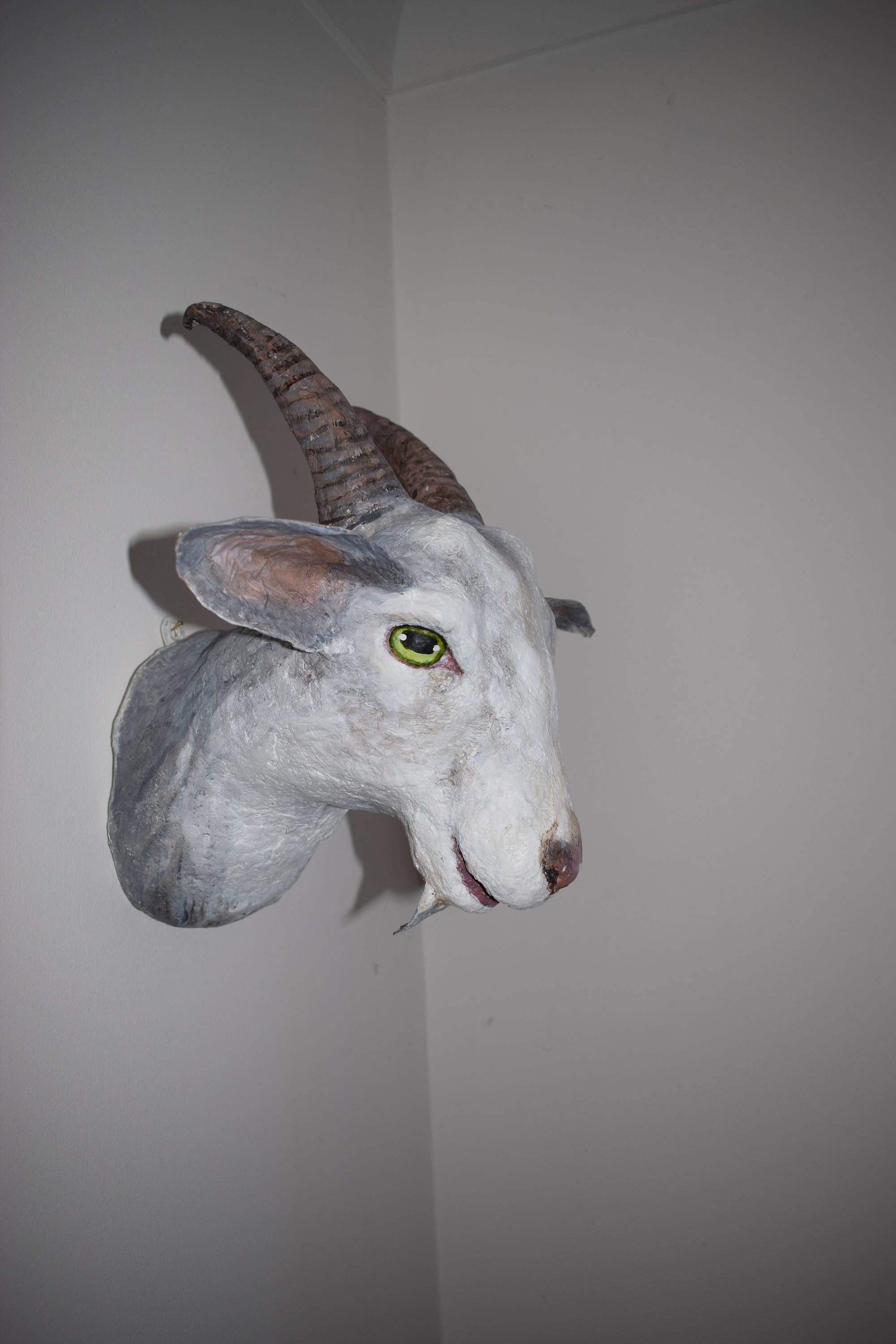 Paper Mache Goat Head Trophy Style Etsy UK