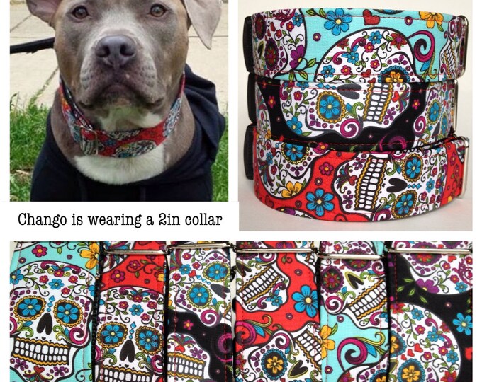 Day of the dead sugar skulls dog collar Etsy
