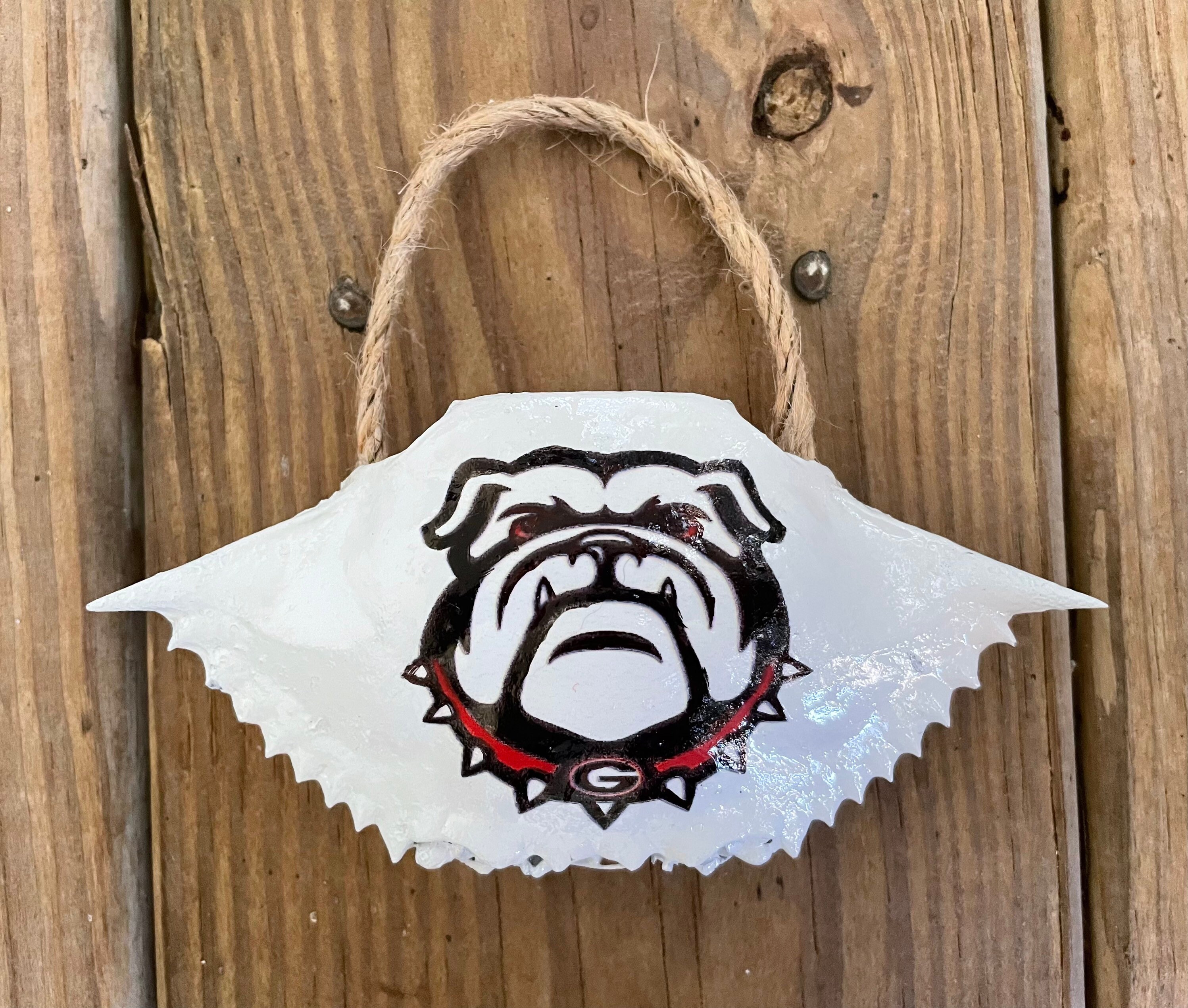 Uga Shells Handcrafted UGA Bulldogs Crab Shell Ornament - Etsy