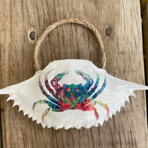 Painted Crab Shell Etsy
