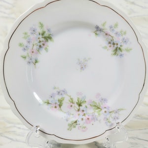 Antique Vienna Austria Crown China Bread and Butter Plate